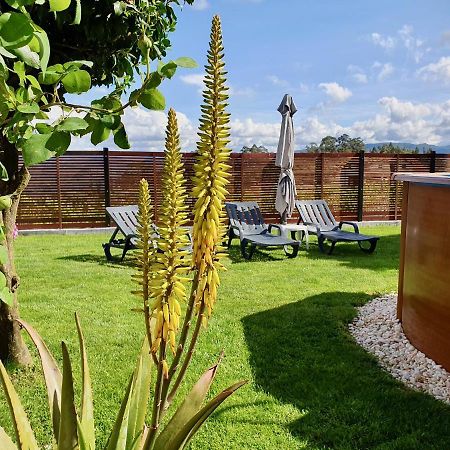 Rosinha Country House Vale de Cambra Bagian luar foto