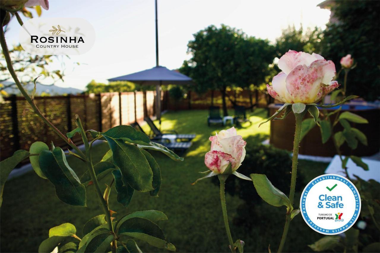 Rosinha Country House Vale de Cambra Bagian luar foto