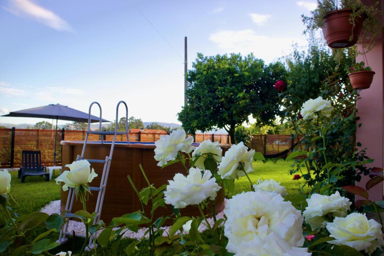 Rosinha Country House Vale de Cambra Bagian luar foto