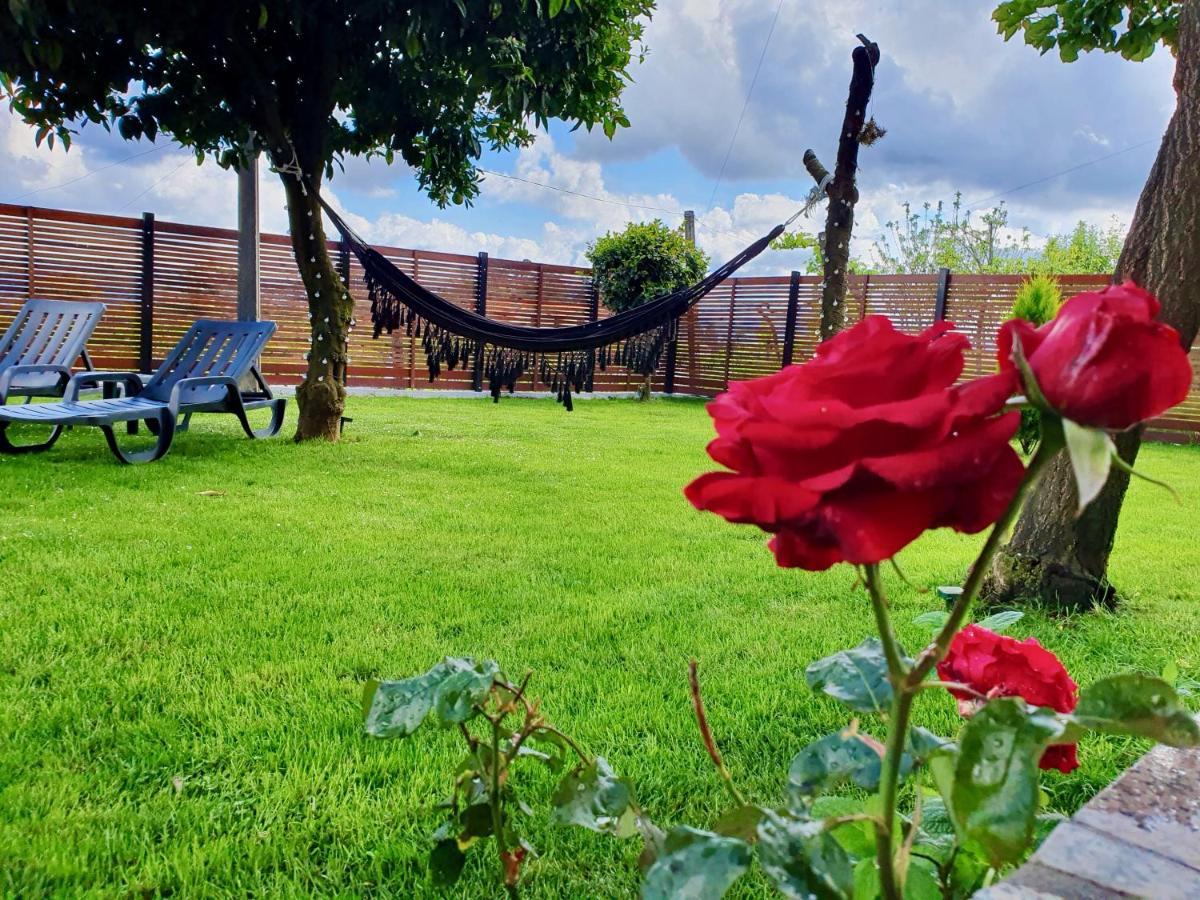Rosinha Country House Vale de Cambra Bagian luar foto