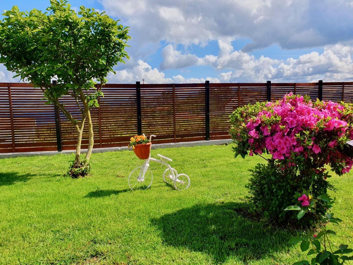 Rosinha Country House Vale de Cambra Bagian luar foto