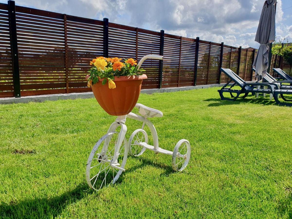 Rosinha Country House Vale de Cambra Bagian luar foto